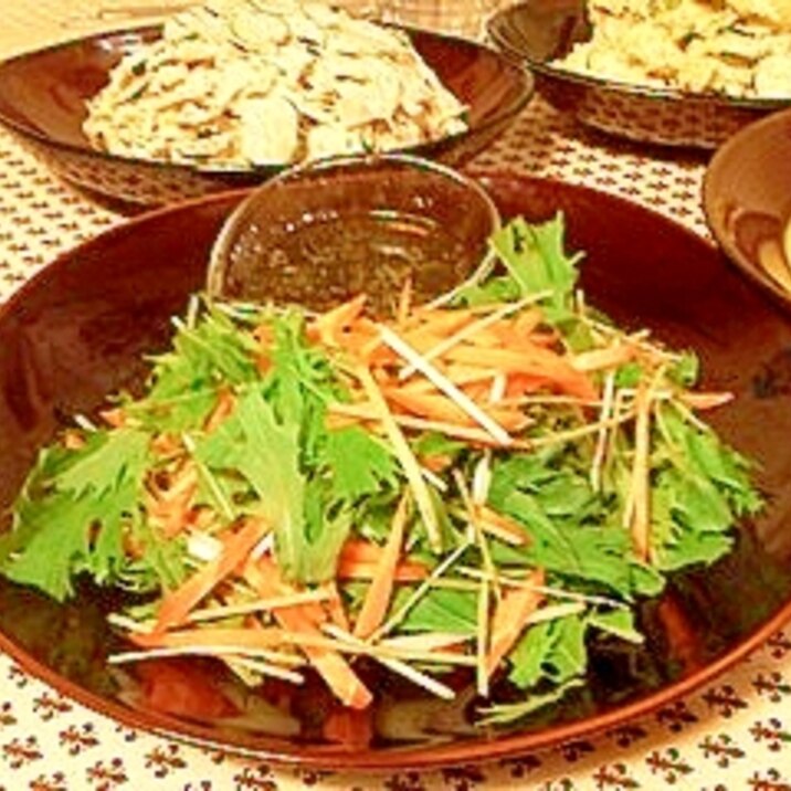 水菜と人参のサラダ
